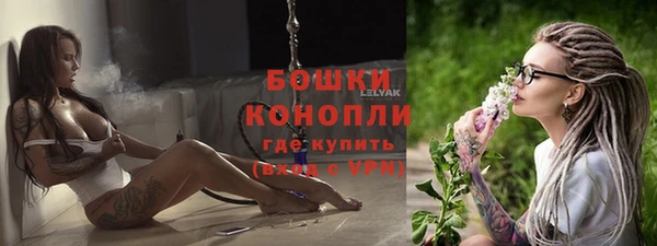 крисы Горняк