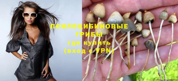 ешки Горно-Алтайск