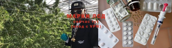 крисы Горняк