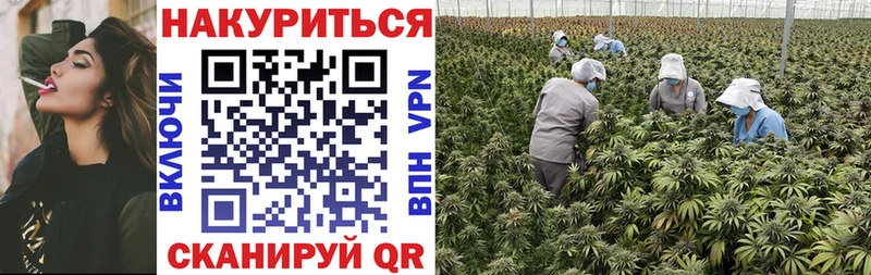 даркнет сайт  Чебоксары  ссылка на мегу ССЫЛКА  МАРИХУАНА Amnesia 